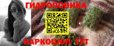 прущие крисы Боровичи