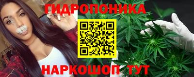прущие крисы Боровичи