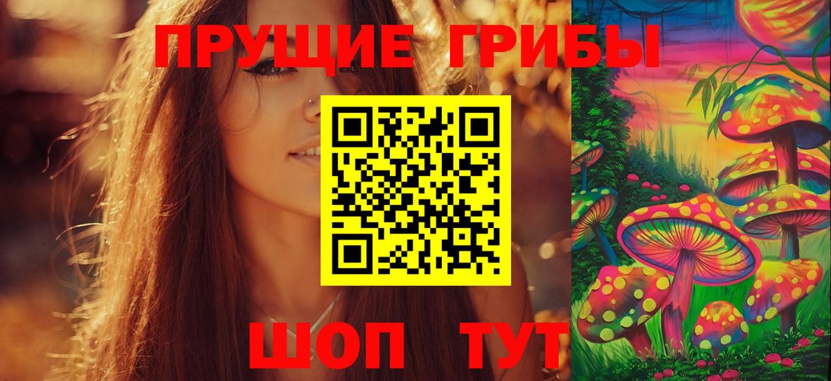 Аргун  Псилоцибиновые грибы прущие грибы  Вход с VPN  Галлюциногенные грибы мицелий 