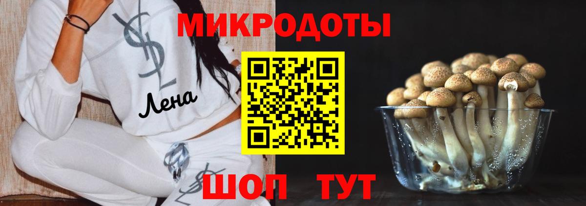 Псилоцибиновые грибы мухоморы Аргун